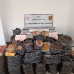 Kaçakçılık Operasyonu; 9 Gözaltı