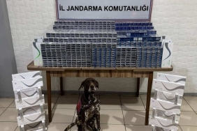 Kaçakçılara Büyük Darbe 6 Bin 548 Paket Kaçak Sigara Ele Geçirildi 