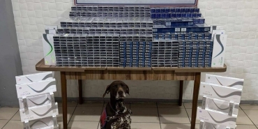 Kaçakçılara Büyük Darbe 6 Bin 548 Paket Kaçak Sigara Ele Geçirildi 