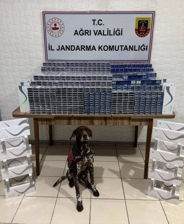 Kaçakçılara Büyük Darbe 6 Bin 548 Paket Kaçak Sigara Ele Geçirildi 