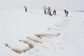 Screenshot_20250220_124057_Facebook~2