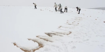 Screenshot_20250220_124057_Facebook~2