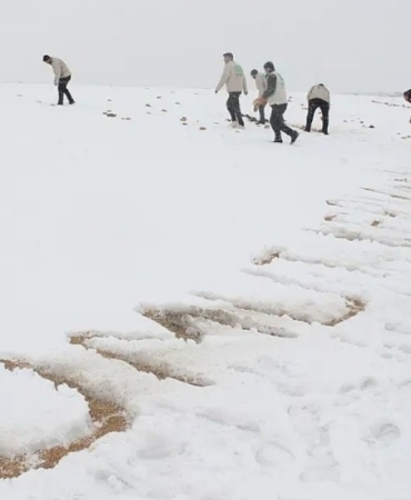 Screenshot_20250220_124057_Facebook~2