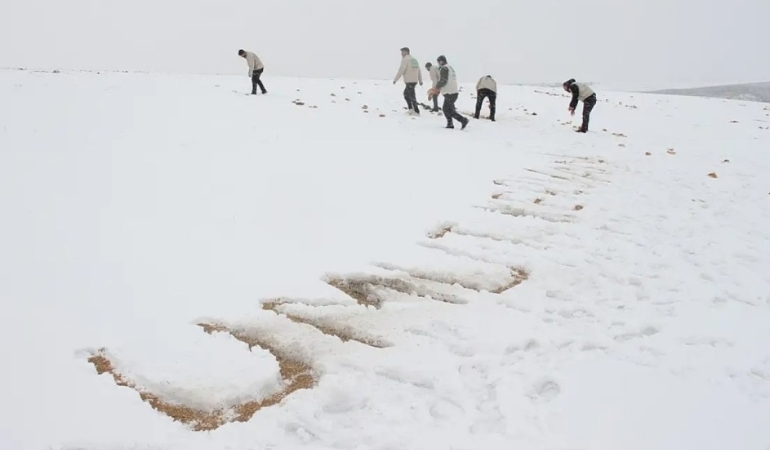 Ağrı Umut Kervanı Derneği Yabani Hayvanlar İçin Doğaya Yiyecek Bıraktı