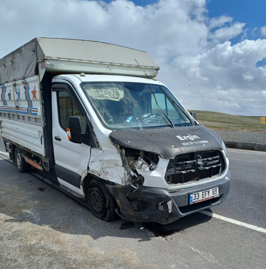 Ağrı Hamur Yolunda Trafik Kazası