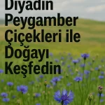 Diyadin Peygamber Çiçekleri ile Doğayı Keşfedin
