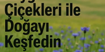 Diyadin Peygamber Çiçekleri ile Doğayı Keşfedin