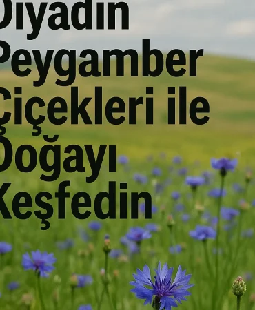 Diyadin Peygamber Çiçekleri ile Doğayı Keşfedin