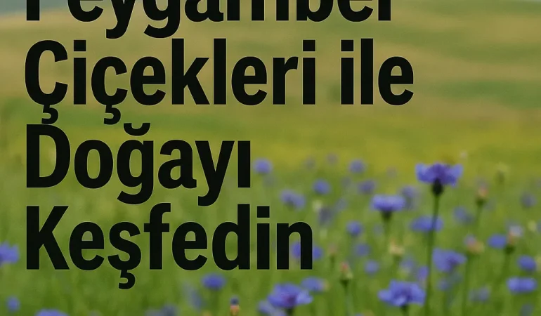 Diyadin Peygamber Çiçekleri ile Doğayı Keşfedin