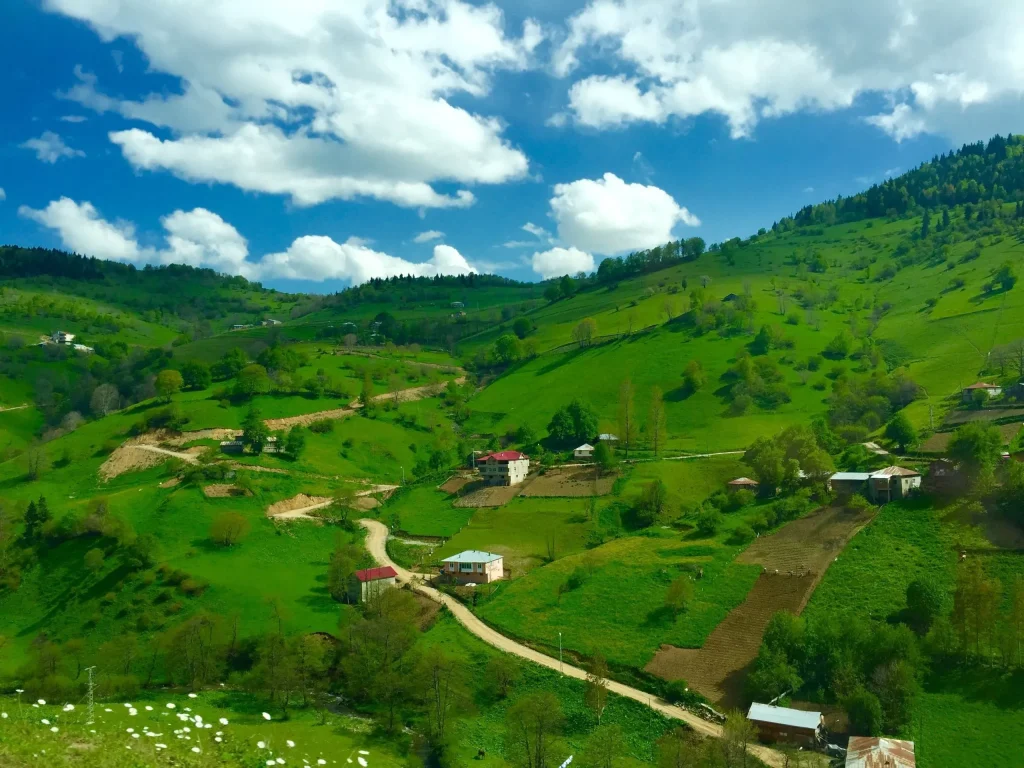 Derecek Yaylası'nda Hayvanlar Doğal Yaşam Alanında