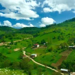 Derecek Yaylası'nda Hayvanlar Doğal Yaşam Alanında