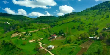 Derecek Yaylası'nda Hayvanlar Doğal Yaşam Alanında