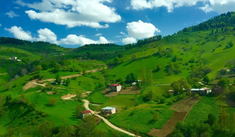 Derecek Yaylası Hayvanlar Doğal Yaşam Alanında