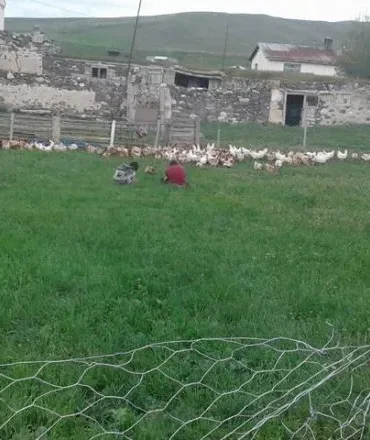 Boyalan Köyü Tarım ile Kalkınma Adımları Atıyor