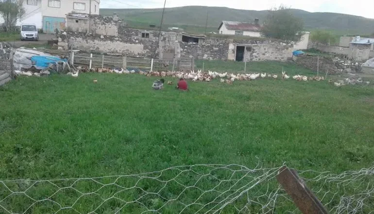 Boyalan Köyü Tarım ile Kalkınma Adımları Atıyor