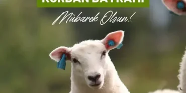 Kurban Bayramı Ziyareti: Gazilere Vefa Gösterildi