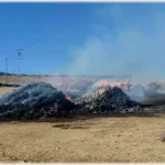 Ağrı Ot Yangını: Ani Başlayan Yangın Paniğe Neden Oldu