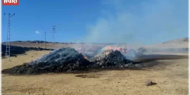 Ağrı Ot Yangını: Ani Başlayan Yangın Paniğe Neden Oldu