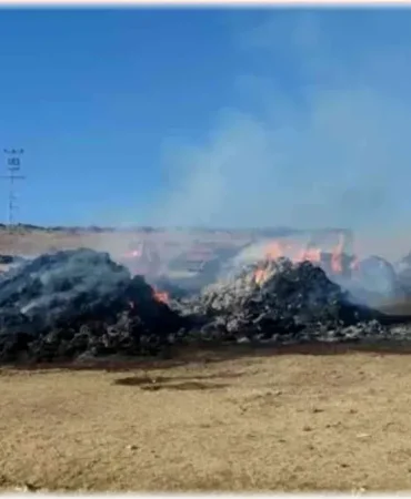 Ağrı Ot Yangını Ani Başlayan Yangın Paniğe Neden Oldu
