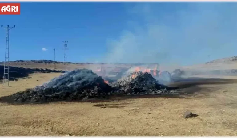 Ağrı Ot Yangını: Ani Başlayan Yangın Paniğe Neden Oldu