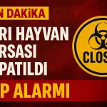 Ağrı Hayvan Borsası Kapatıldı