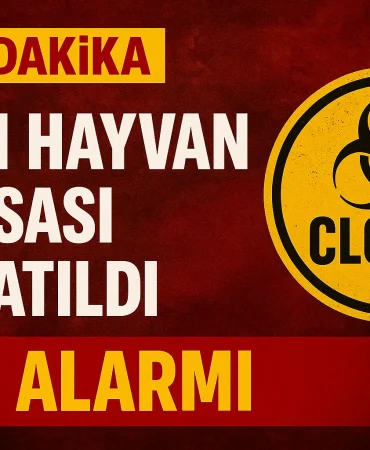 Ağrı Hayvan Borsası Kapatıldı