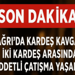 Ağrı Kardeş Kavgası İki Kardeş Arasında Şiddet Olayı