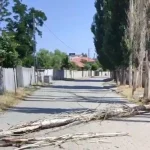 Doğubayazıt Ateş Yakma Olayı ve Yangın Riskleri