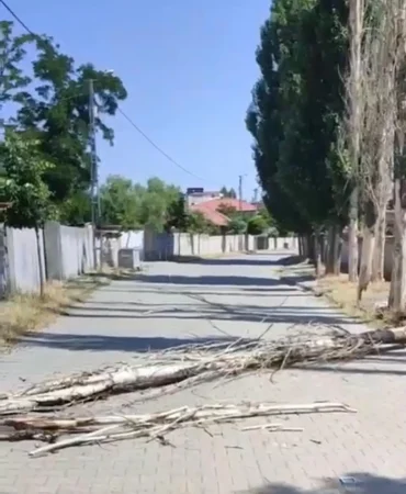 Doğubayazıt Ateş Yakma Olayı ve Yangın Riskleri