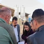 Ağrı Gazi Mahallesi Asfalt Çalışmaları Yenileniyor