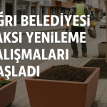 Ağrı Belediyesi Saksı Yenileme Çalışmaları Başladı