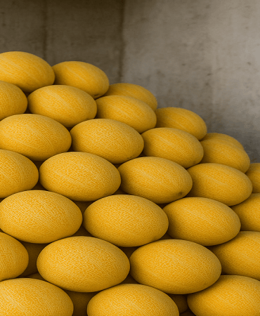 Ağrı Kavun Satışı Mustafa Özmüşün Başarısı