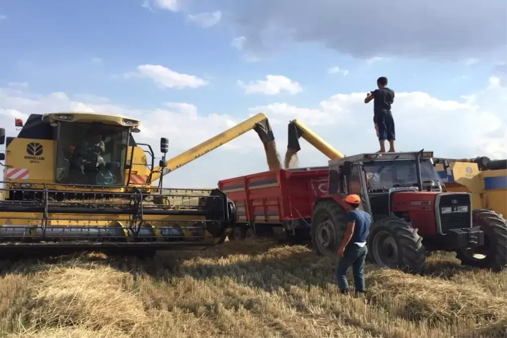 Arpa Hasadı: Eliaçık Köyü'nde Makineli Tarım Uygulamaları