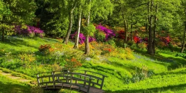 Ağrı Parkları Eylülde Yağmur ve Soğuk Hava