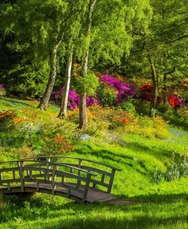 Ağrı Parkları Eylülde Yağmur ve Soğuk Hava