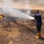 Ağrı tarla yangını