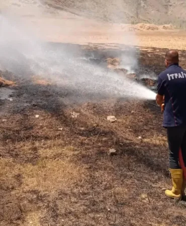 Ağrı tarla yangını