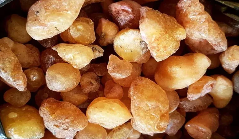 Çam Sakızı Patnos’ta Doğal Şifa ve Kültürel Değer