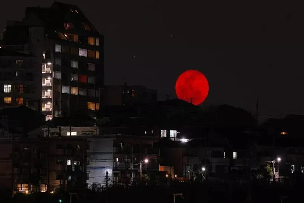 image_JL1DYM7M47webp