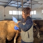 Hayvan Aşılaması, Şap Hastalığına Karşı Önlemler