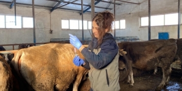 Hayvan Aşılaması, Şap Hastalığına Karşı Önlemler