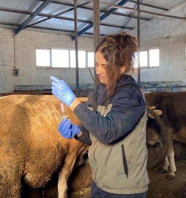 Hayvan Aşılaması Şap Hastalığına Karşı Önlemler