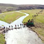 image_I1QHOX4CYYwebp