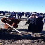 image_0IPVA6GOK6webp