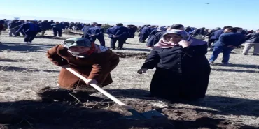 image_0IPVA6GOK6webp