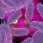 image_77654ECHJCwebp