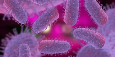 image77654ECHJCwebp  Eleşkirt Haber image_77654ECHJCwebp