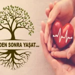 image_CCN74K7XQOwebp