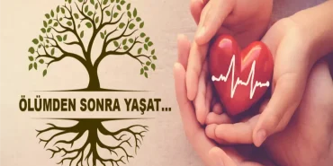 imageCCN74K7XQOwebp  Eleşkirt Haber image_CCN74K7XQOwebp