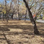 image_W8BY0SEYKEwebp